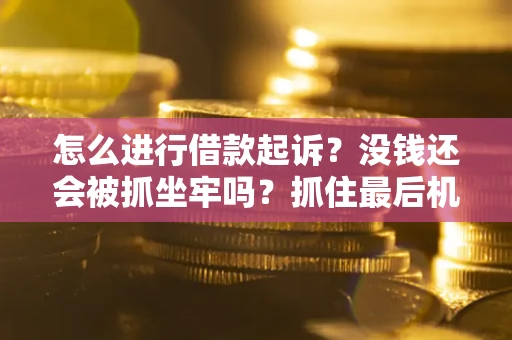 济南怎么进行借款起诉？没钱还会被抓坐牢吗？抓住最后机会！