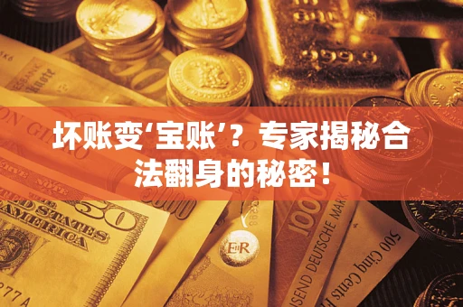 济南坏账变‘宝账’？专家揭秘合法翻身的秘密！