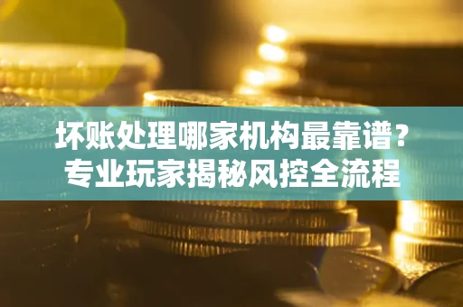 济南坏账处理哪家机构最靠谱？专业玩家揭秘风控全流程