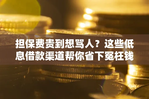济南担保费贵到想骂人？这些低息借款渠道帮你省下冤枉钱