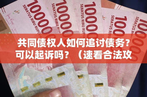 济南共同债权人如何追讨债务？可以起诉吗？（速看合法攻略）