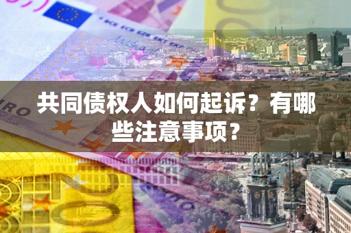济南共同债权人如何起诉？有哪些注意事项？